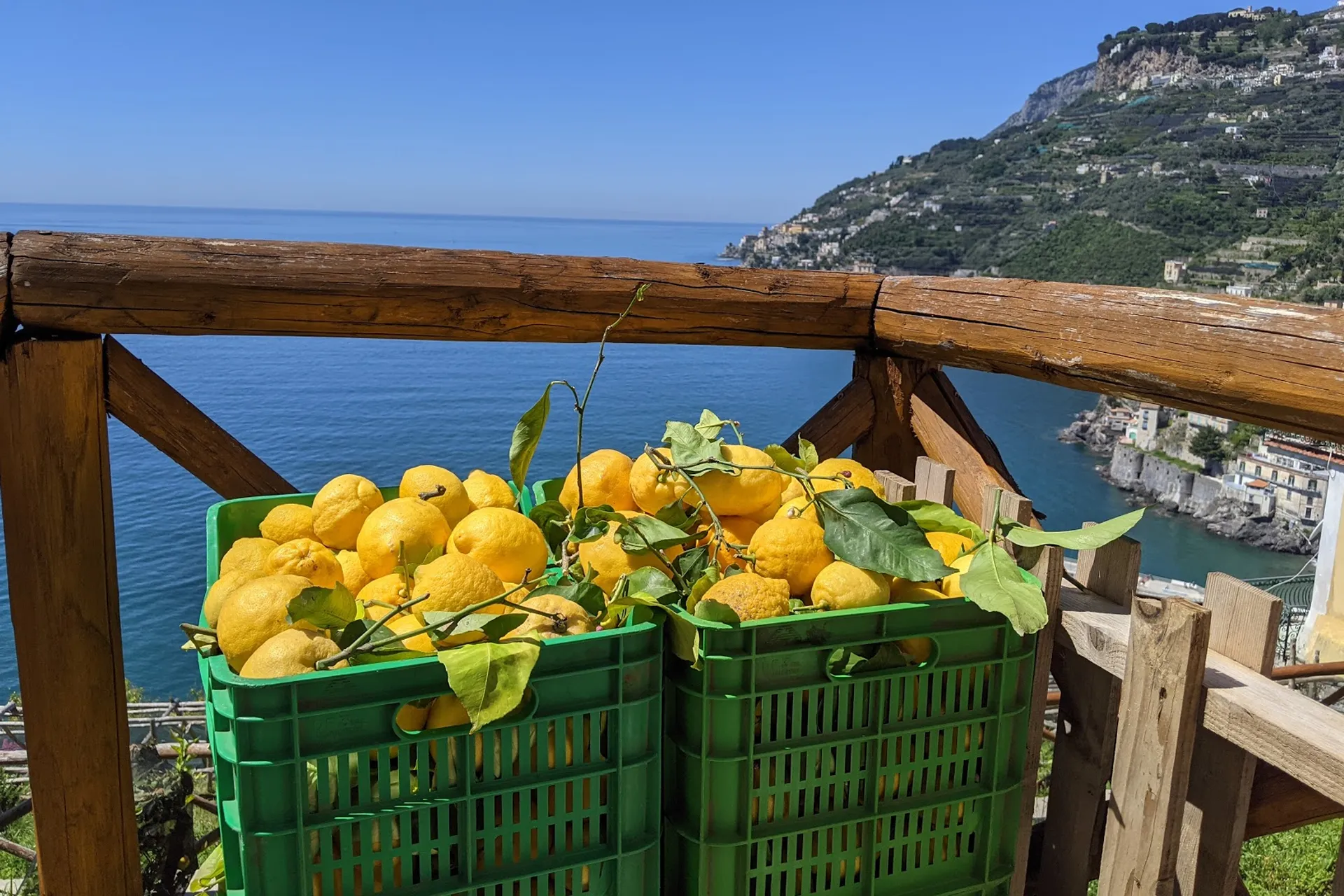 Limoni Costiera Amalfitana